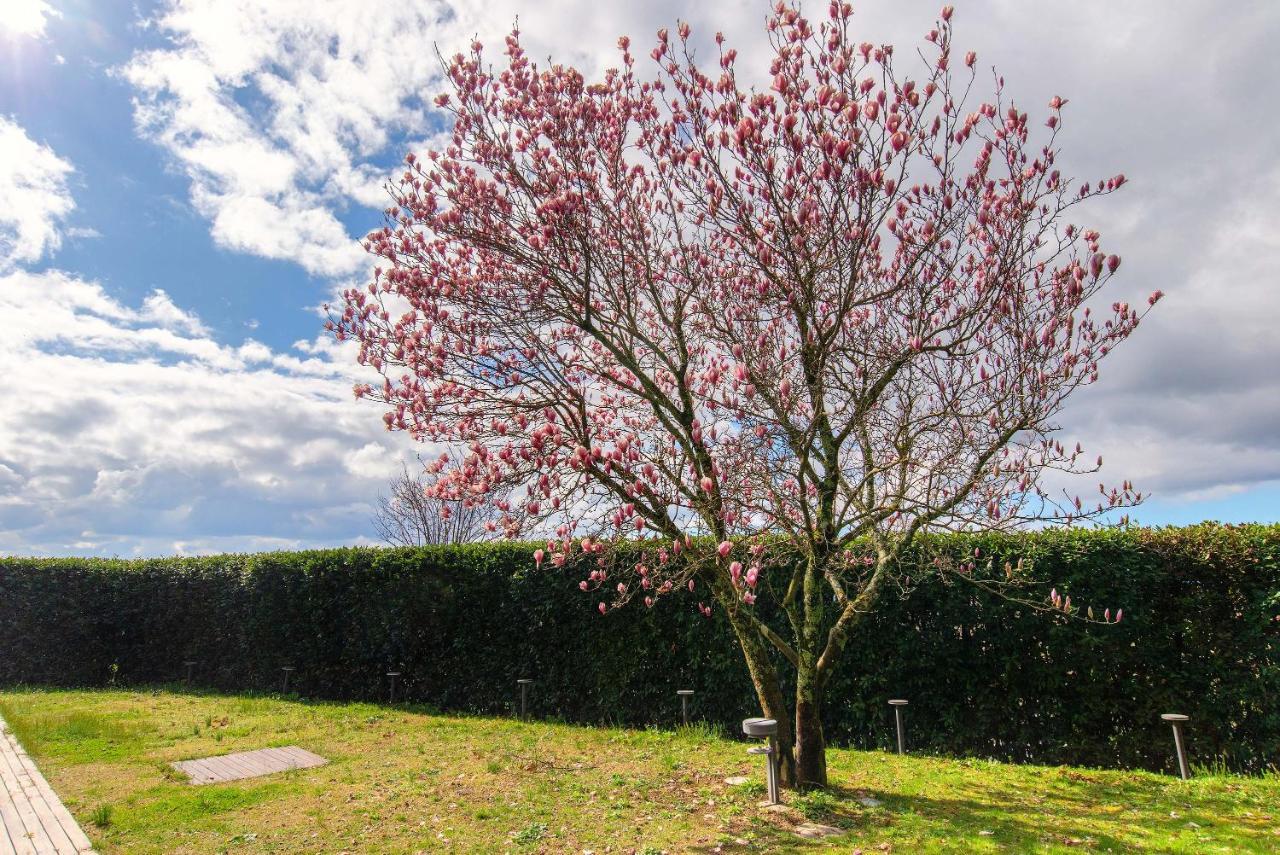 Villa Cassia Di Baccano San Giustino Valdarno Zewnętrze zdjęcie